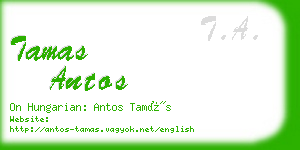 tamas antos business card